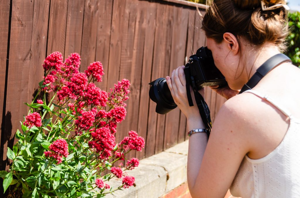 Young woman taking photographs of red flowers